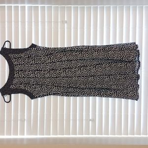 Perceptions New York Petite Short A-Line Navy with White Dots Dress